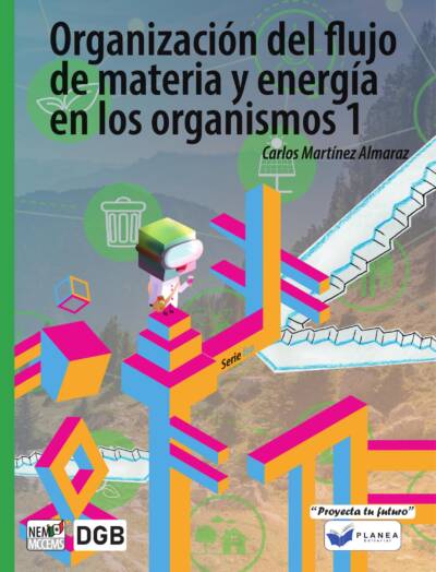 ORGANIZACION DEL FLUJO DE MATERIA Y ENERGIA EN LOS ORGANISMOS 1